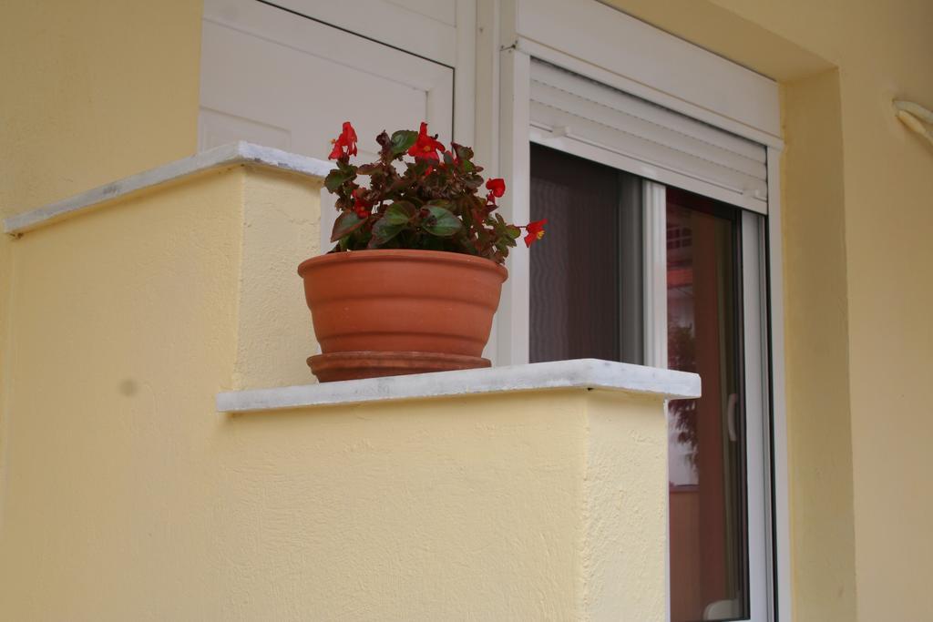 Alexandros Studios Аспровальта Номер фото